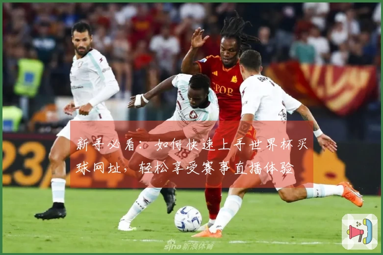 新手必看：如何快速上手世界杯买球网址，轻松享受赛事直播体验