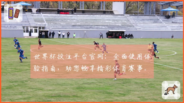 世界杯投注平台官网：全面使用体验指南，助您畅享精彩体育赛事。