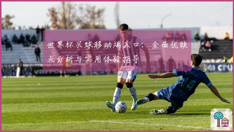 世界杯买球移动端入口:全面优缺点分析与实用体验指导