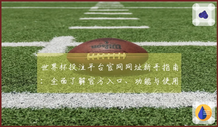 世界杯投注平台官网网址新手指南：全面了解官方入口、功能与使用体验