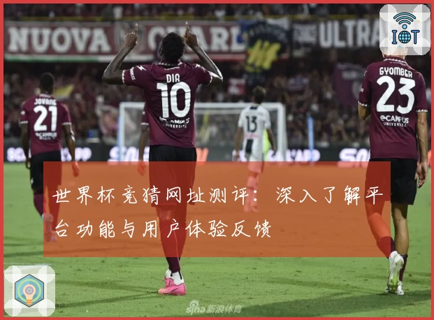 世界杯竞猜网址测评：深入了解平台功能与用户体验反馈