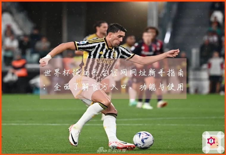 世界杯投注平台官网网址新手指南：全面了解官方入口、功能与使用体验