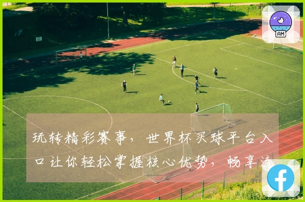 玩转精彩赛事，世界杯买球平台入口让你轻松掌握核心优势，畅享流畅体验